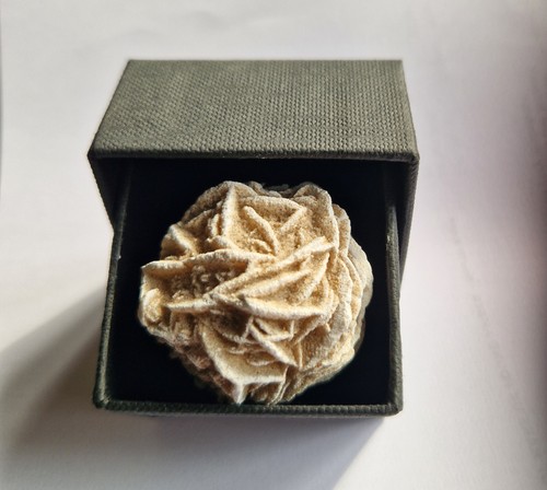 Desert rose crystal algeria - ,