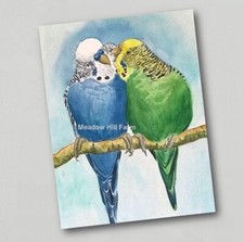 Fridge Magnet Budgerigar