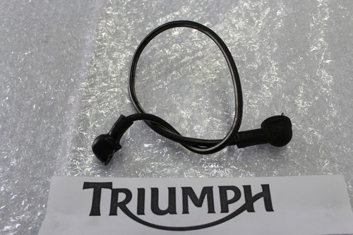 Triumph sprint 955i power - rs,