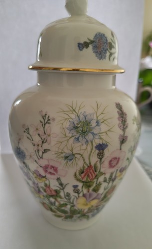 Aynsley wild tudor - aynsley, ginger