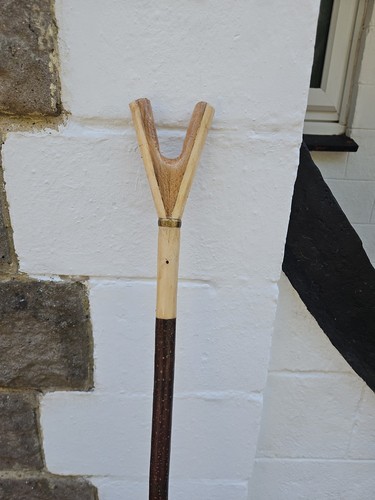 Thumbstick walking staff