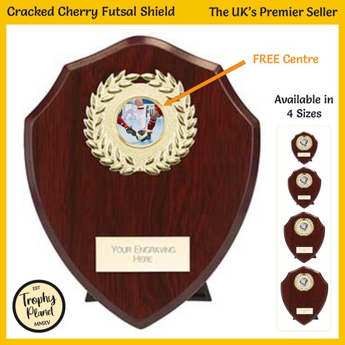 Futsal shield trophy cracked - futsal,