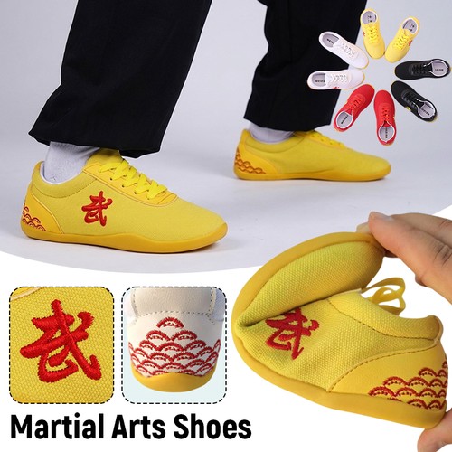 Martial arts tai chi - tai, kung