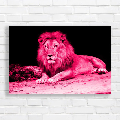 Majestic lion wild - lion, animal