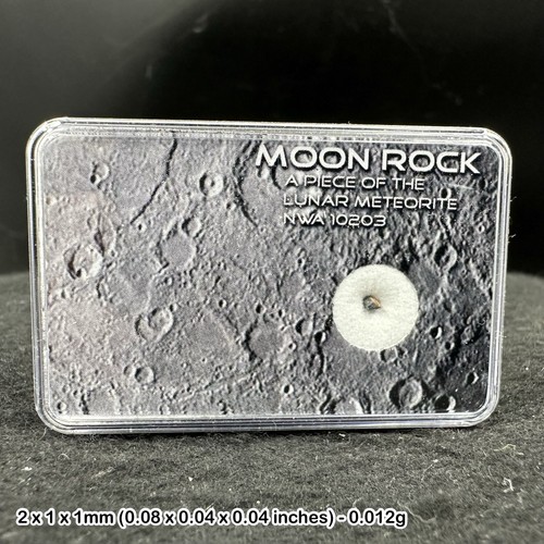 Genuine lunar meteorite - genuine,