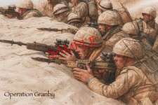 British Army 1st Gulf War Op