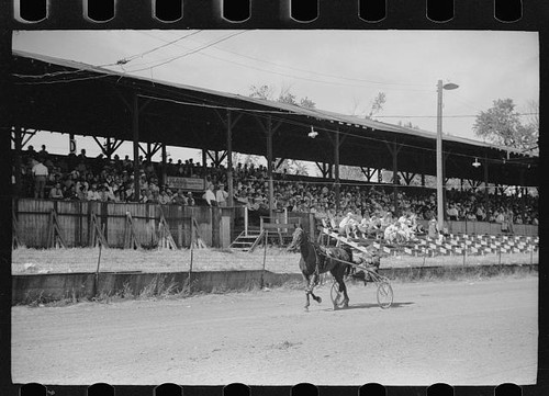 Photo 1930s harness - horse, race