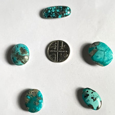 JOB LOT 5 X NATURAL PERSIAN