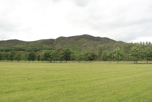 Photo 6x4 grassland coul - 6x4,