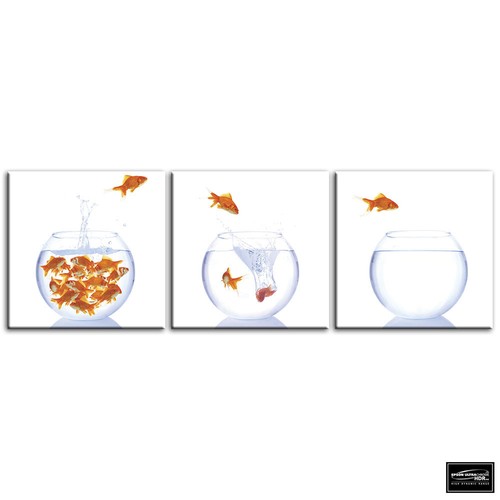 Goldfish bowls animals - ,