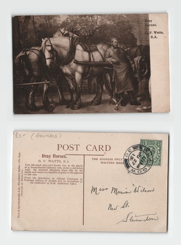 Postcard dray horses - postcard, f