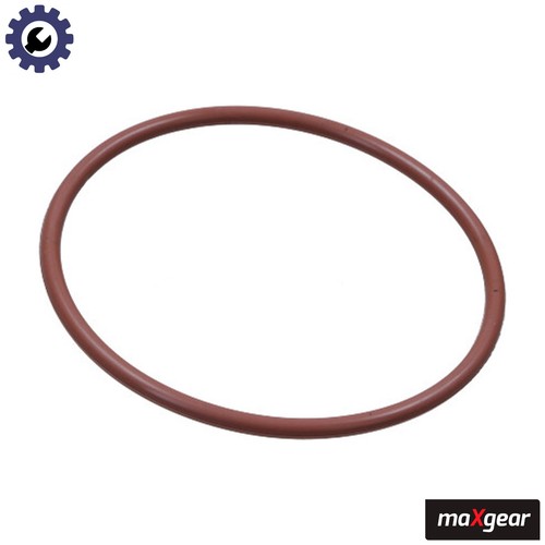 Gasket vacuum pump 0116 - gasket,