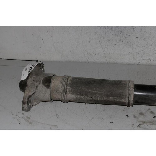 Rear shock absorber - rear, kia