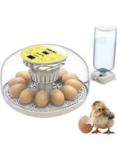 Egg Incubator with Automatic Turning and Humidity Control 12/24 Eggs, 360° View