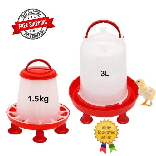 Chicken poultry feeder - chicken,