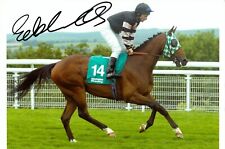 Seb Sanders Signed 12x8 Photo Horse Racing Compton Place Jockey Autograph + COA