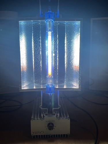 Hydroponics grow light - grow,