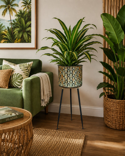 Tall unusual moroccan style - tall,