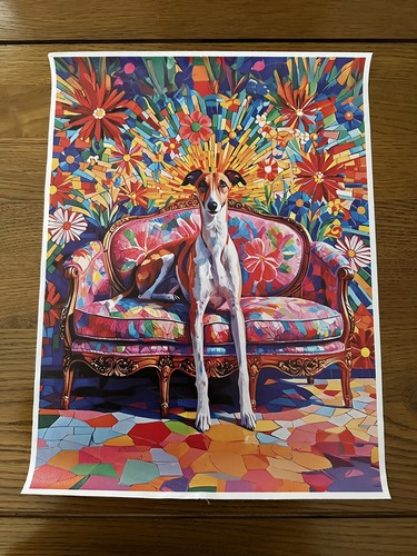 Colourful whippet greyhound - colourful,