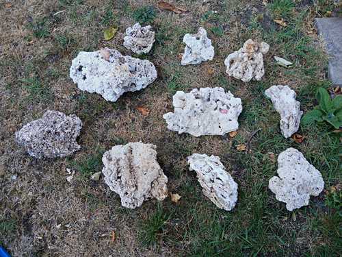 All these assorted porous - all,