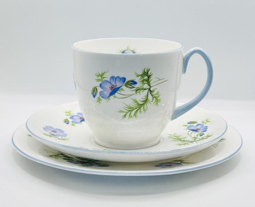 Shelley bristol late blue - shelley,