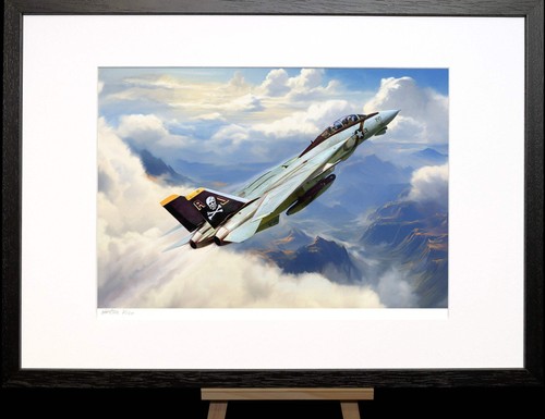 F14 tomcat art print - -, nick
