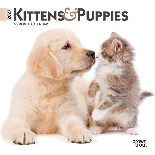 Kittens puppies 2027 7x14 - kittens,