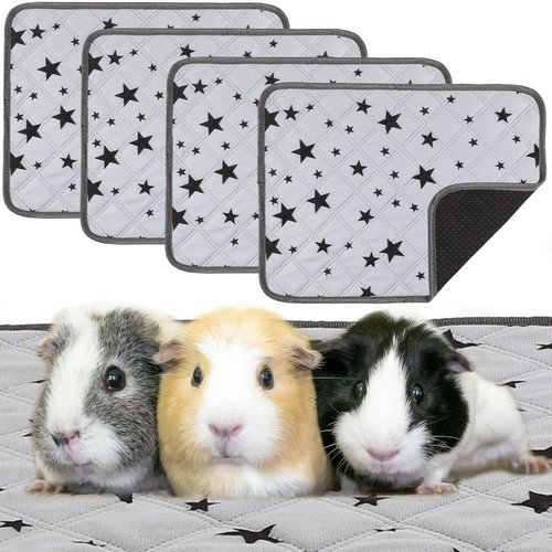 Pieces guinea pig - 4,