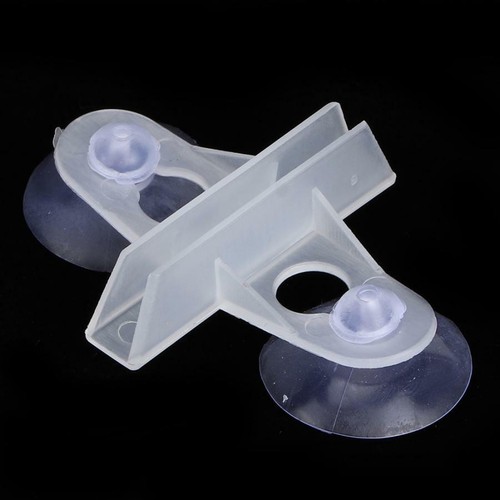 20pcs aquarium fish - aquarium, tank