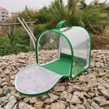 Insect cage clear pvc - cage,