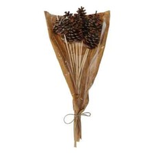 Pine Cones on Picks/Sticks