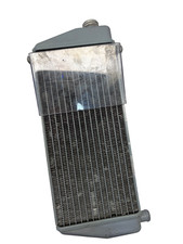 Rotax Max Evo Genuine Silver