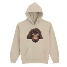 Poodle Dog Head Curly Fur