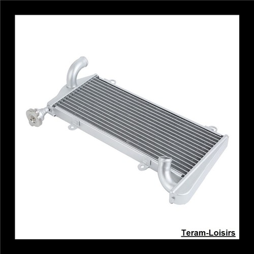 Radiator for ducati panigale - for,