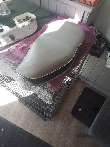Triumph tiger cub - tiger, seat