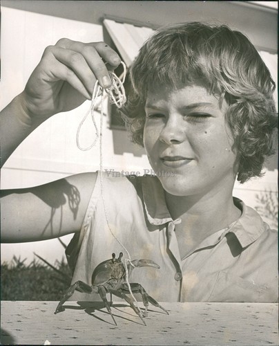 1962 jeanne roberts land - roberts,