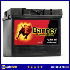 53034 Banner Caterham Car