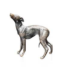 Richard Cooper Limited Edition