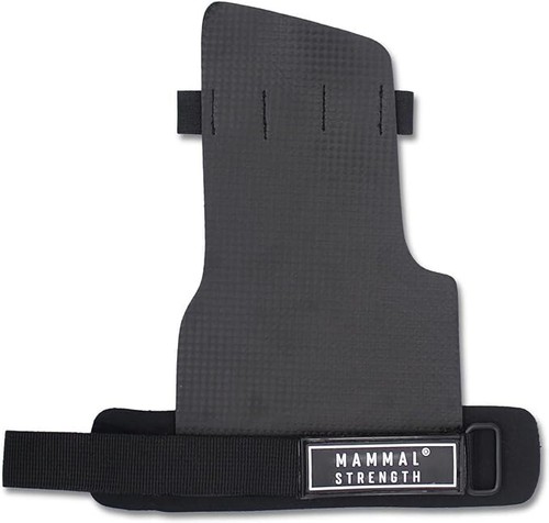 Mammal strength carbon gym - strength,