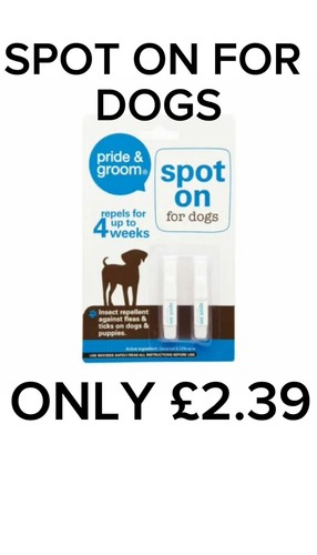 Pride groom spot - on, and