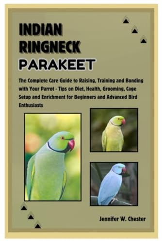 Indian ringneck parakeet the - ringneck,