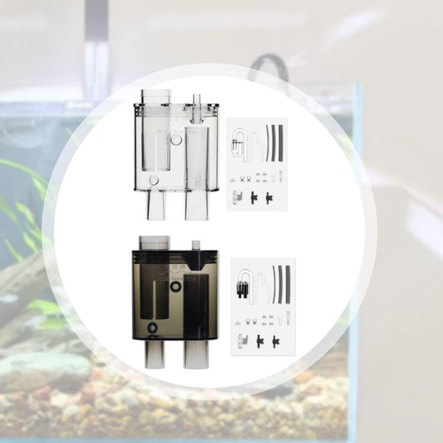 Aquarium overflow box - aquarium,