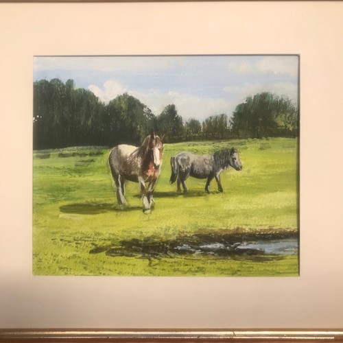 Horse and pony - in, field