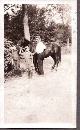 Vintage photograph horse - horse, van
