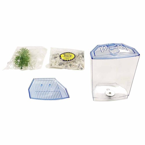 Betta bow front - kit, boxed