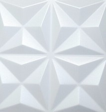 Decorative Ceiling | Wall