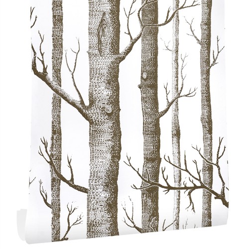 197 birch tree - 197"birch,