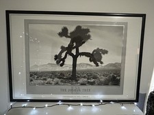 U2 Joshua Tree Athena Poster