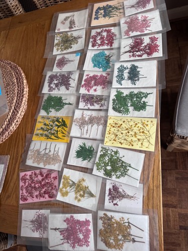 Large lot bundle - , pressed