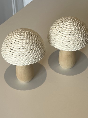 Pair autumn decorative - pair,